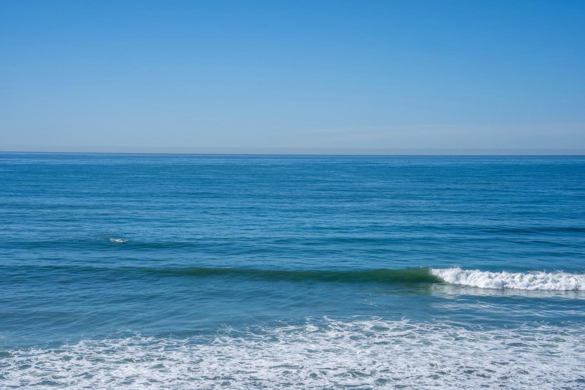 Beachfront Breathtaking 1 Bedroom Apt Tijuana Ngoại thất bức ảnh